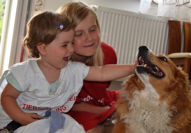 Foto: Tierschutzverein Mödling