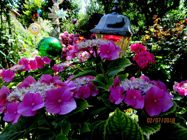Sommerzeit Teller Hortensien Pelargonien