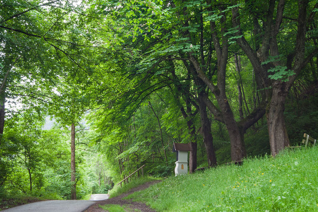 Dieses Teilstück des Innradwegs (Route Nr. 1) und des  Radwegs Via Claudia Augusta (Etappe 3 Nr. 32) zwischen Landeck (Gerber Brücke) und Urgen (Fließ) führt auf der orographisch linken Uferseite des Inns durch die Landecker Innschlucht. Ab hier führt auch ein Wanderweg nach Hochgallmigg.  | Foto: © by Ing. Günter Kramarcsik