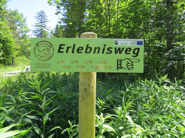 Aha....da geht`s los!