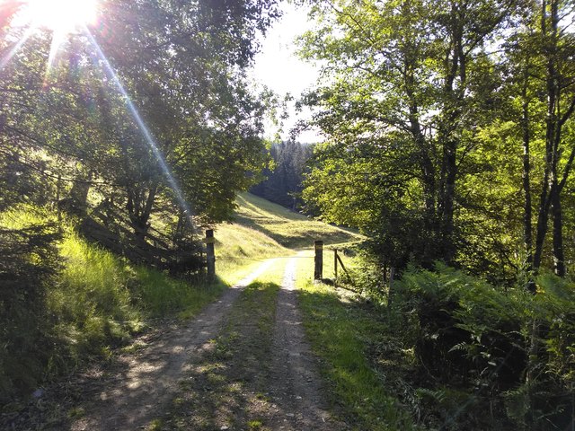 ein herrlicher Beginn....