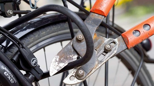 Mit einem Bolzenschneider dürfte der Dieb das Schloß geknackt haben. | Foto: Foto: dpa/picture-alliance