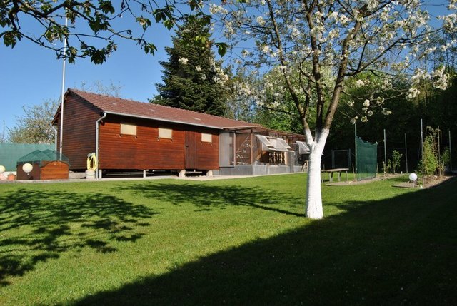 Die Brieftauben werden in ihrem Verschlag bestens versorgt. | Foto: Nadine Oberrader/Siegfried Zoni