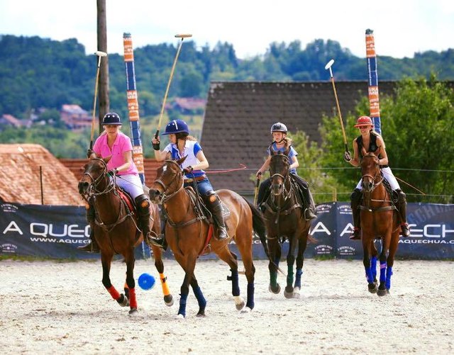 Trendsport mit langer Tradition: Wer sich im Polo beweisen will, kann in Kumberg erste Schritte machen. | Foto: KK