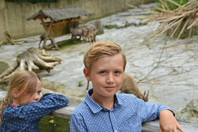 Feix Huber aus Golling ist jetzt stolzer Pate eines kleinen weiblichen Steinbocks im Zoo Salzburg.