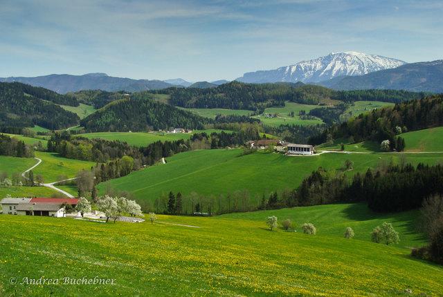 Blick auf den Ötscher, aufgenommen in der Nähe der "Schranke" zw. Reinsberg und Brettl