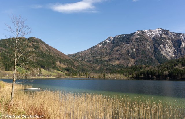Idylle am Lunzersee