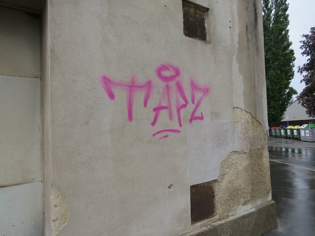 Mit „TAPZ“ wurden Häuser, Garagen und Lichtkästen beschmiert.