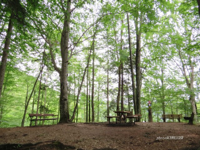 Ein idyllisches Platzerl!