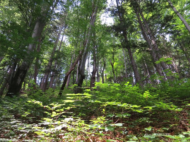 Einfach nur durchatmen.......