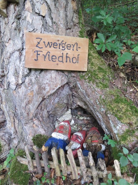 Ojeeeeee....wir legen eine Gedenkminute für die verstorbenen Zwergerl ein