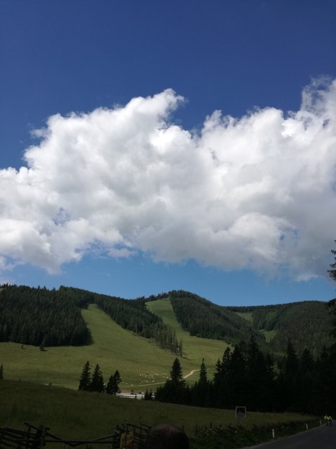 Wie gemalt: Bei blitzblauem und beinahe wolkenlosem Himmel schweift der Blick über Hügel und Wäldchen der Teichalm.