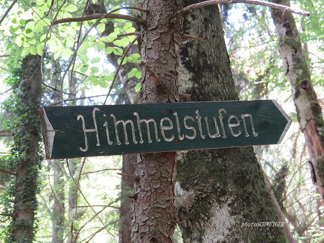 Aha....do gehts zum Himmel! gggg