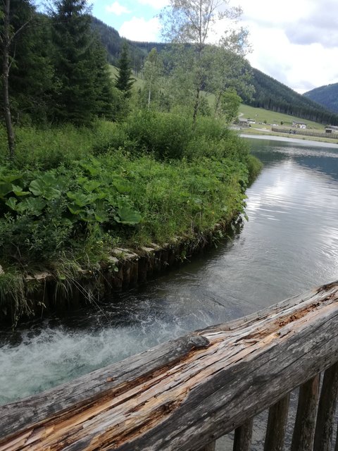 Der Teichalmsee liegt langsam hinter einem, hier entspringt klares Gebirgswasser und heißt im Moor willkommen.