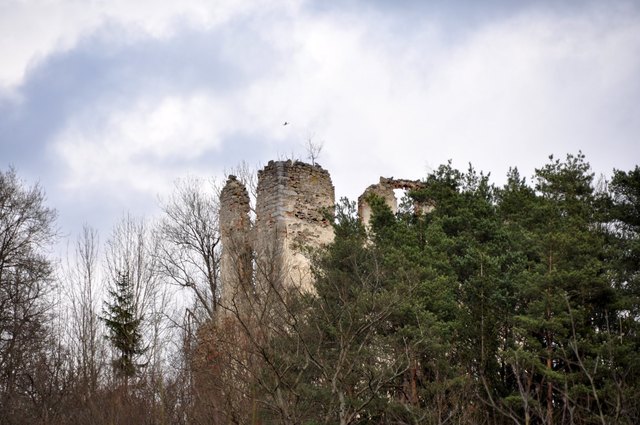 Ruine Rottenegg | Foto: Reinhard Nimmervoll