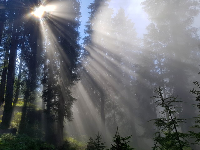wenn die Morgensonne am Berg mit ihren Strahlen sich  durch den Nebel beißt..dann sieht das so mystisch aus