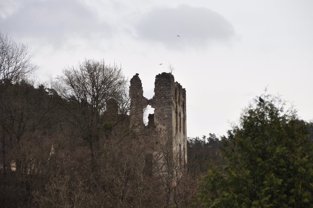 Ruine Rottenegg | Foto: Reinhard Nimmervoll