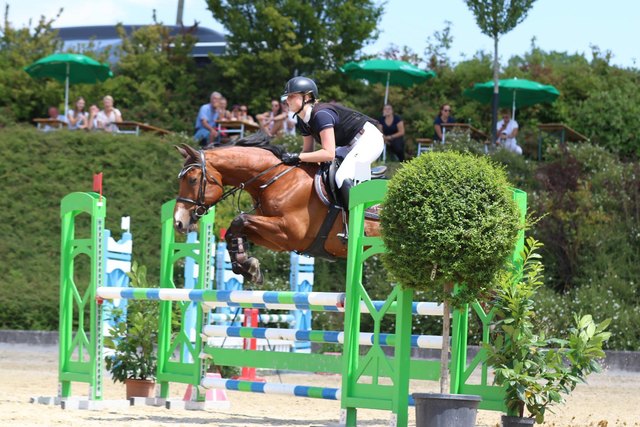 Auch beim Springreiten am zweiten Wochenende sorgten die Schärdinger Reiter wieder für Topplatzierungen. | Foto: RBBS
