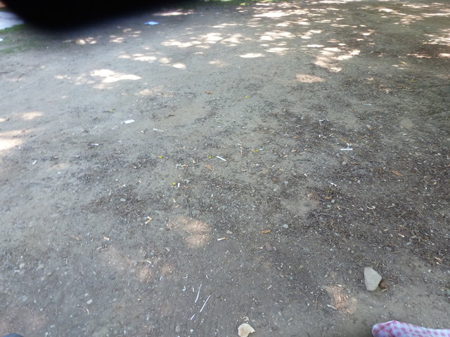 Tausende von Zigarettenstummel als Spielzeug für unsere Kinder im Augartenpark...