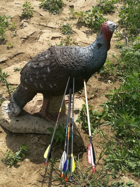 Alle Pfeile im Ziel!