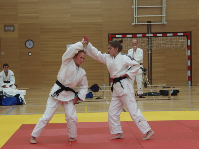 Ju no Kata