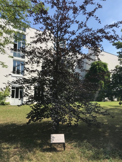 Die Bischofshofener haben tatsächlich in Unterhaching Wurzeln geschlagen. | Foto: Gde. Unterhaching