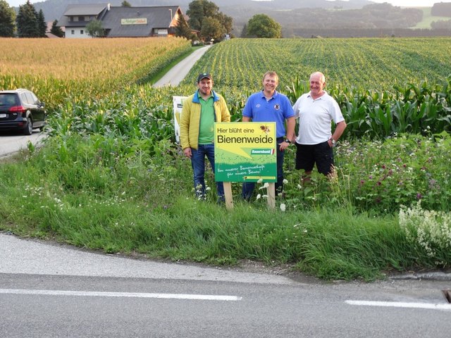 Die Landwirte Moser, Schober und Berner haben bewusst Blühstreifen gepflanzt – für das Wohl der Bienen, aber auch für mehr Verkehrssicherkeit. | Foto: Berner