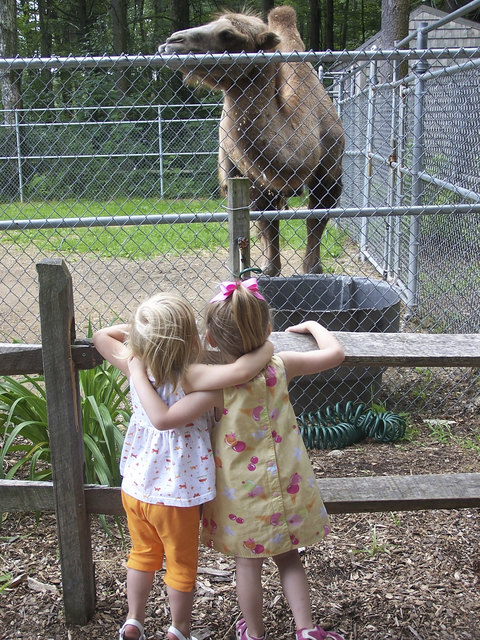 Die Tiroler Kinder hatten eine tolle Zeit im Tierpark Hellabrunn.