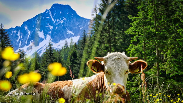 ….wir fühlen uns hier richtig wohl.....