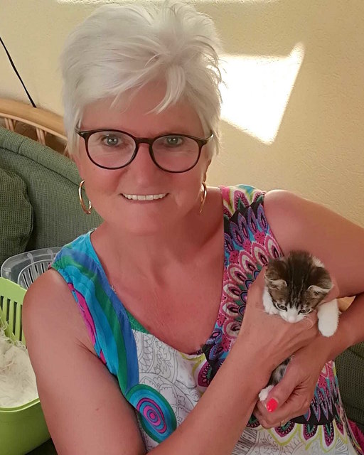 Obfrau Regina Resch mit einem Katzenbaby. | Foto: Tierschutzverein