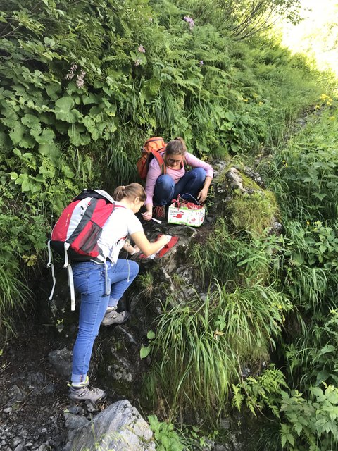 Umweltbaustelle Mauthen: Markieren der Wanderwege | Foto: Hannes Guggenberger