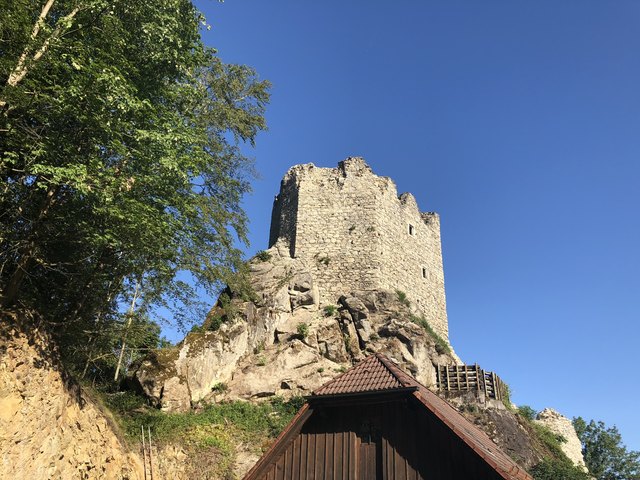 Ruine Lichtenhag | Foto: Kogler