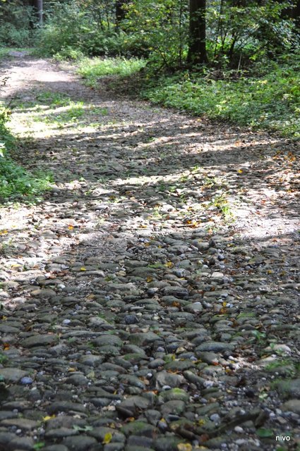 Foto: Reinhard Nimmervoll