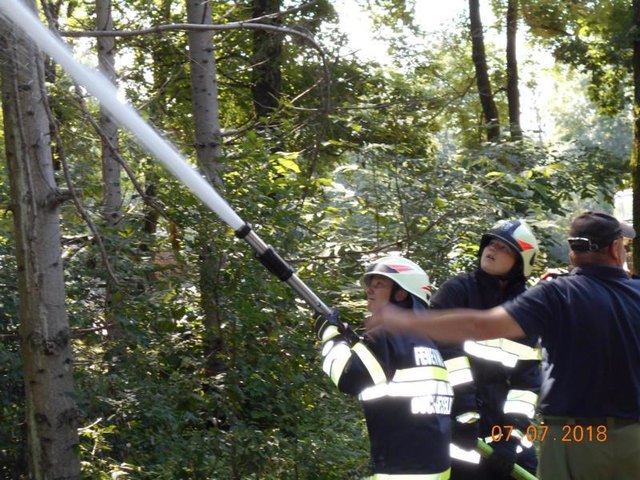 Für den Einsatz gerüstet: 38 Jungflorianis aus dem Bereichsfeuerwehrverband Hartberg absolvierten den Grundausbildungslehrgang 2. | Foto: HBI a.D. Enrico Schlemmer