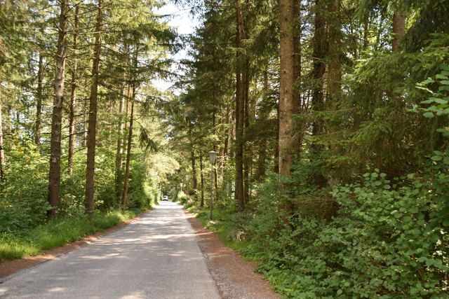 Auf den heutigen Waldflächen (Tennisplatz, Karwendelparkplatz, Waldspielplatz) könnten 470 Wohnungen entstehen.