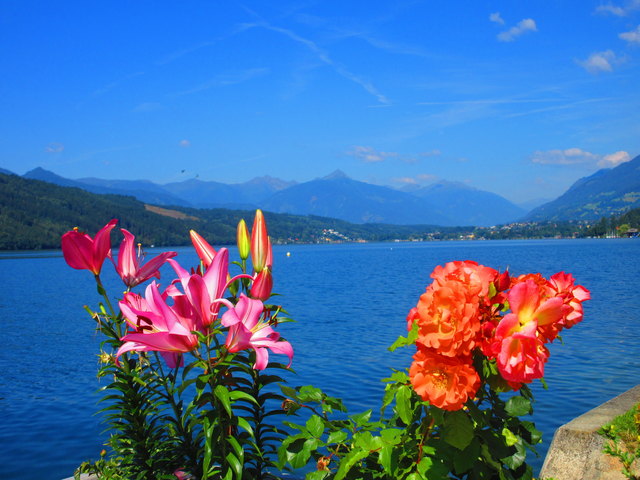 Blumengruß vom Millstättersee, Badehaus Millstatt.