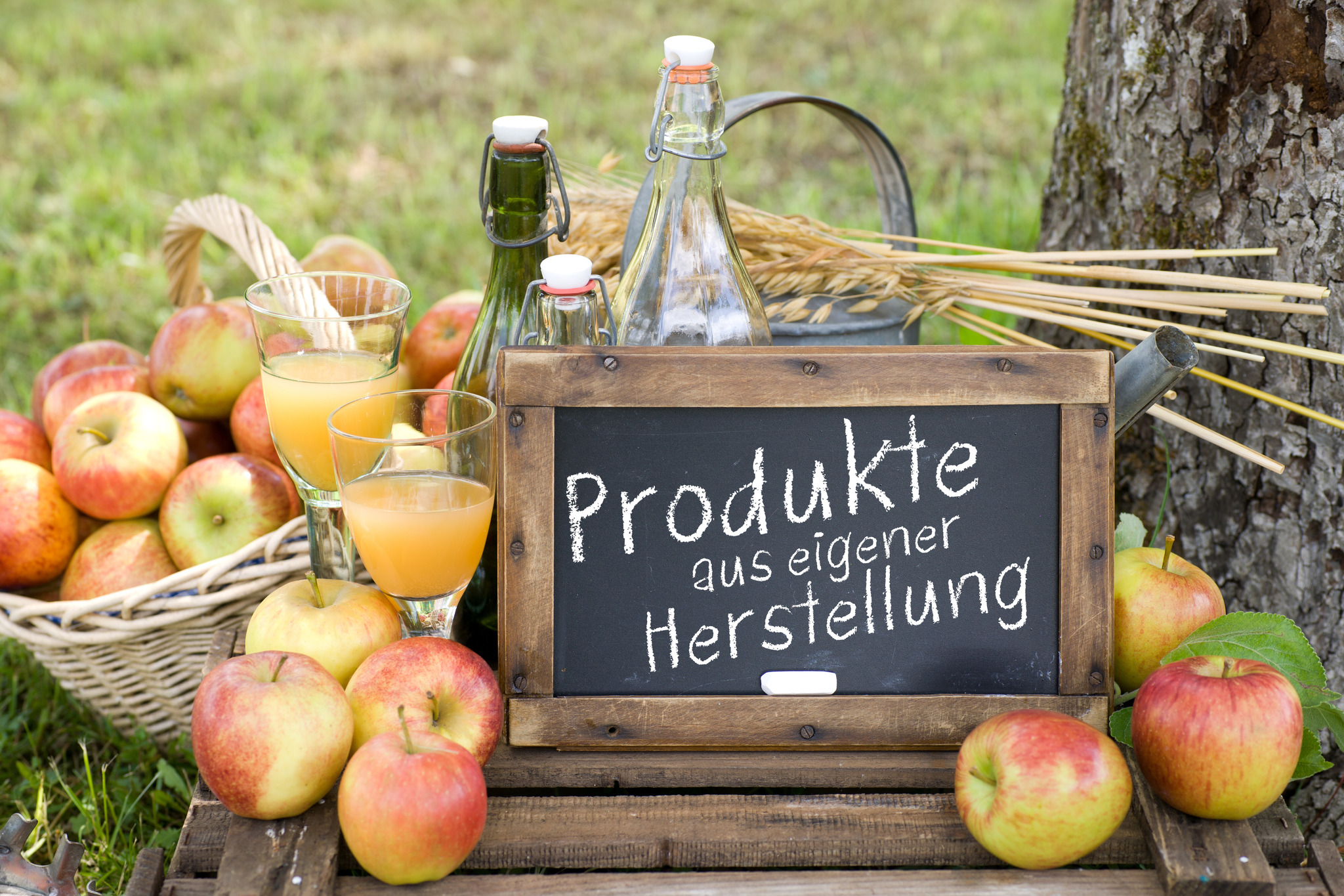 Direkt beim Bauern kaufen wird immer beliebter - Schärding