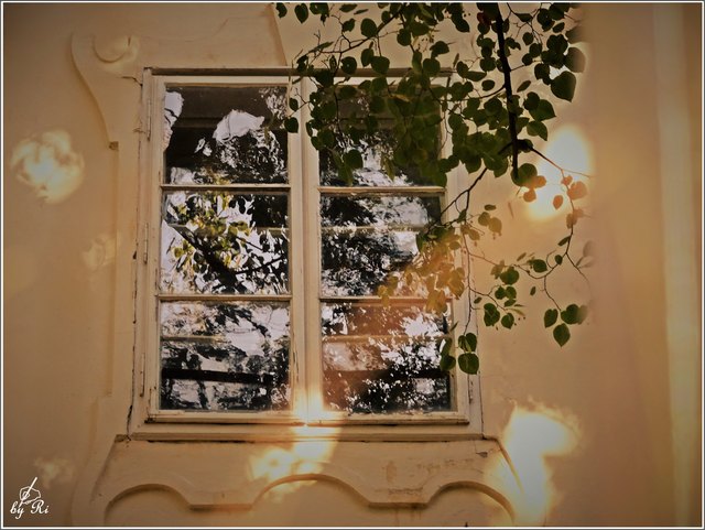 Im Blick kommt die Seele ans Fenster.

August Pauly (1850 - 1914)