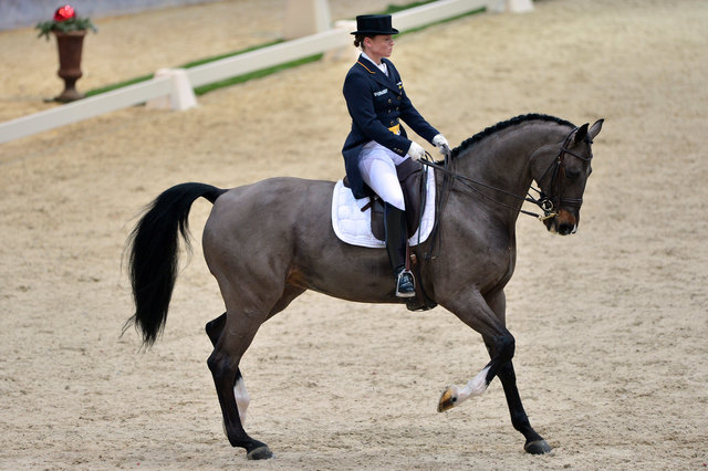 Die internationale Dressurelite, wie hier die deutsche Olympiasiegerin Isabell Werth, soll bald in Gössendorf ihre Künste zeigen. | Foto: GEPA
