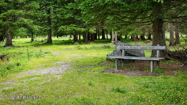 ….es gibt immer ein paar sehr schöne Rastbankerl,das ist im Wald drinnen,wo ich hinter gegangen bin,es herrscht eine besondere Stimmung ....
