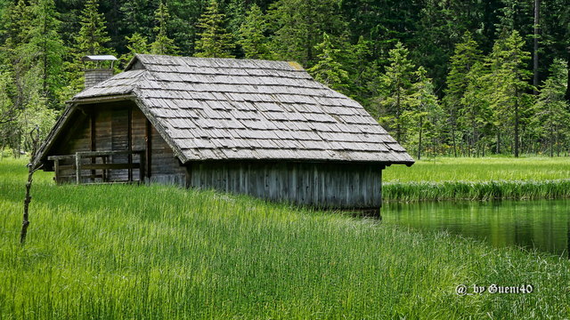 …..die Hütte liegt direkt am See....