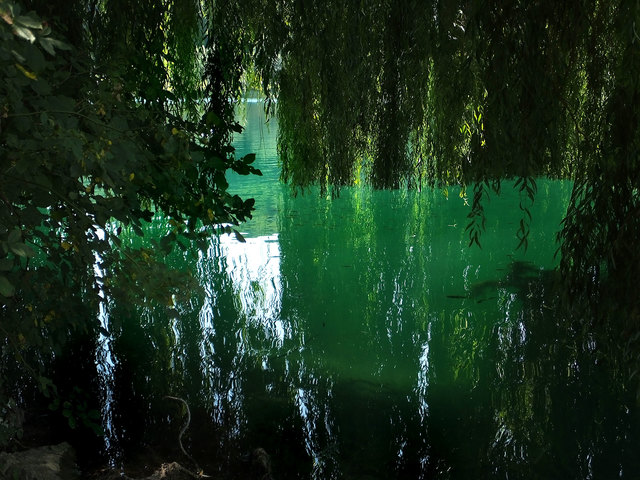 am Mattsee