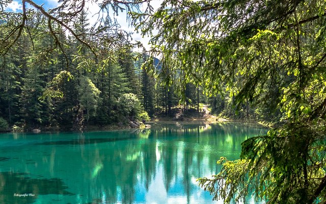 ... ein traumhafter Tag am "Grünen See" ...