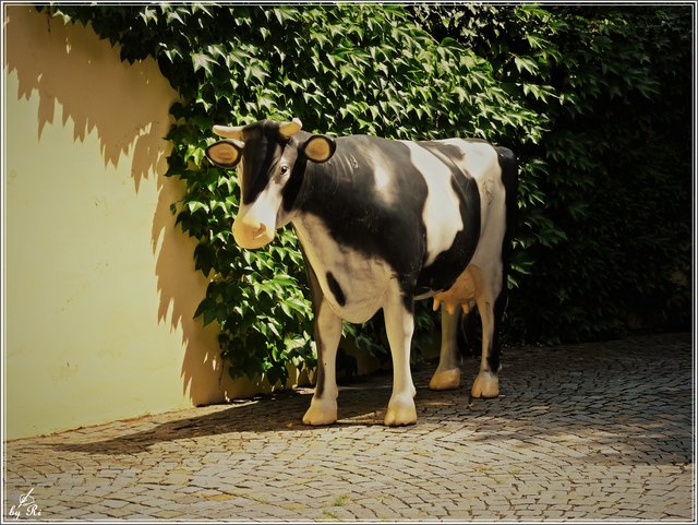 Beim Spazieren entdeckt - wobei mein kleiner Scottie  sehr vorsichtig war ob sie sich nicht vielleicht doch noch bewegt ggg