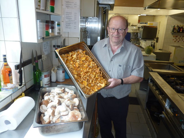 Die Schwammerlsaison läuft an. Richard Sampl bekommt die Pilze von Sammlern aus der Umgebung geliefert.