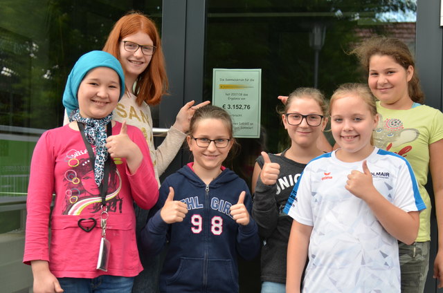 Am fleißigsten sammelten die Schüler der NMS Wartberg/Krems. | Foto: Krebshilfe OÖ