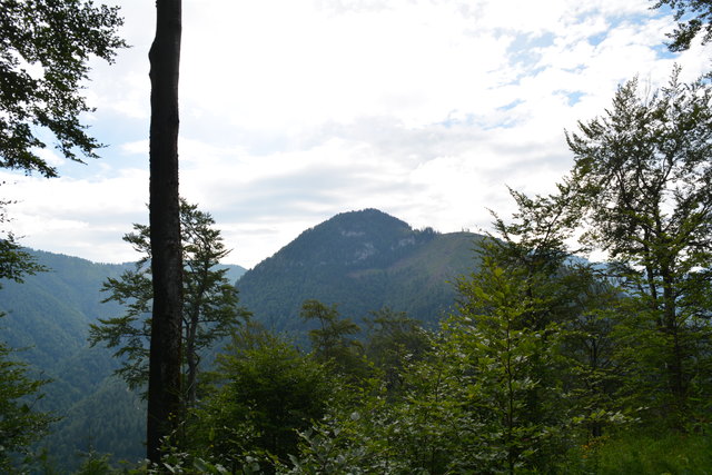 Tour auf den Scheiblingstein: Redakteur Roland Mayr war mit unserem wandernden Regionauten Franz Sturmlechner unterwegs.