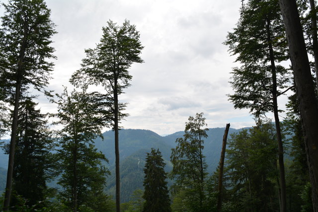 Tour auf den Scheiblingstein: Redakteur Roland Mayr war mit unserem wandernden Regionauten Franz Sturmlechner unterwegs.