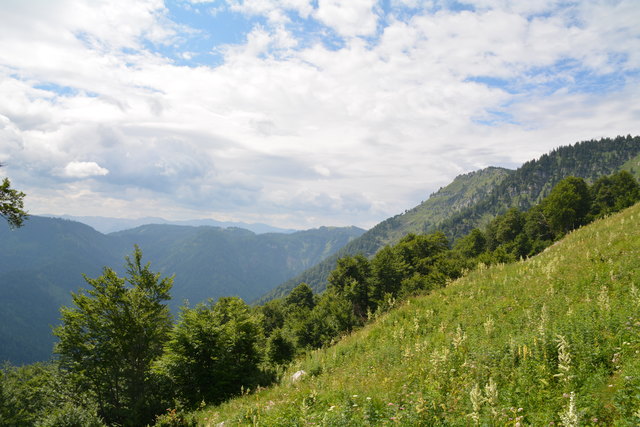 Tour auf den Scheiblingstein: Redakteur Roland Mayr war mit unserem wandernden Regionauten Franz Sturmlechner unterwegs.