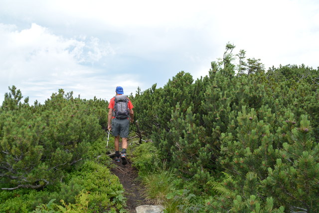 Tour auf den Scheiblingstein: Redakteur Roland Mayr war mit unserem wandernden Regionauten Franz Sturmlechner unterwegs.